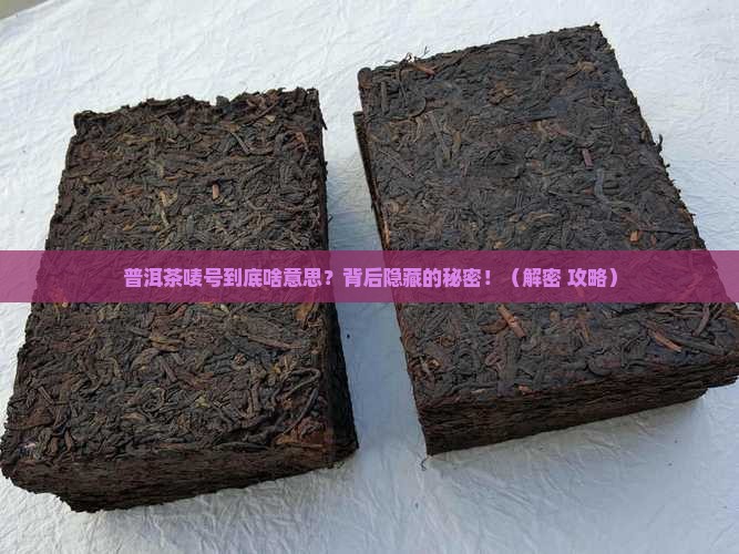 普洱茶唛号什么意思