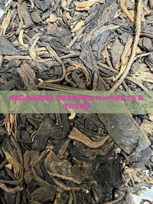 南糯山普洱茶推荐