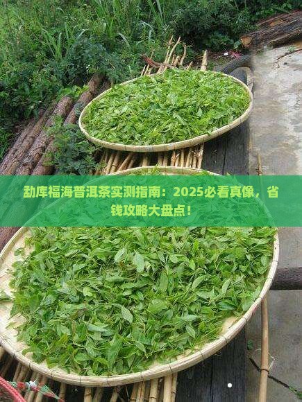 勐库与福海普洱茶
