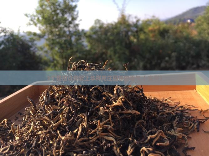 华祥苑庄园品质茶的特点香气