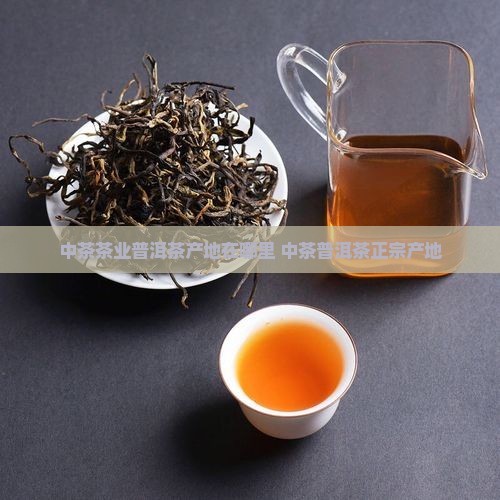 中茶茶业普洱茶产地在哪里