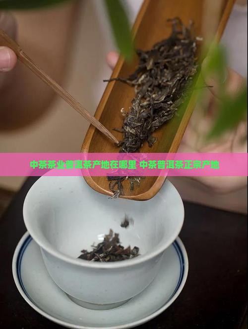 中茶茶业普洱茶产地在哪里