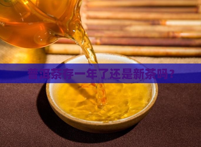普洱茶存1年了还算新茶吗