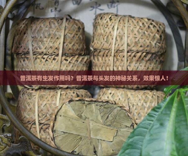 普洱茶有生发作用吗