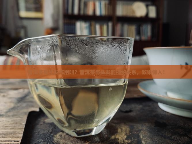 普洱茶有生发作用吗