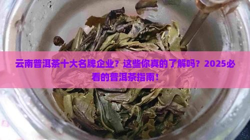 云南普洱茶十大名牌企业