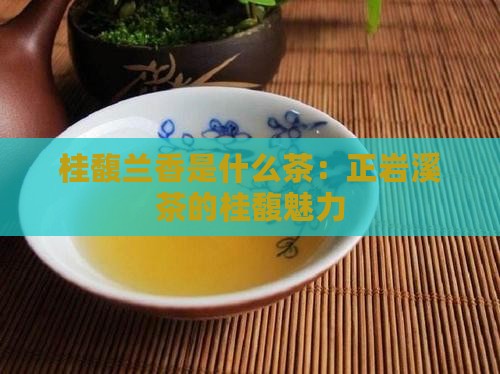 正岩溪茶桂馥兰香是什么茶