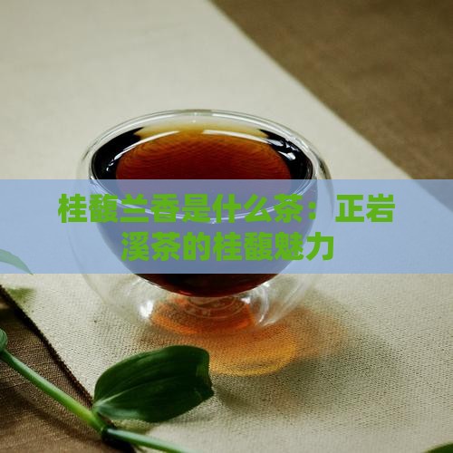 正岩溪茶桂馥兰香是什么茶