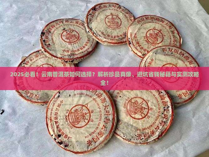专注珍品的云南普洱茶品牌