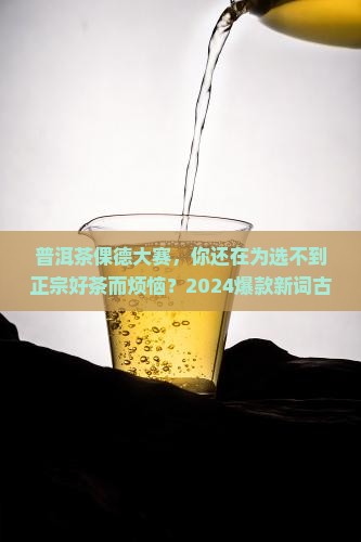 普洱茶倮德大赛