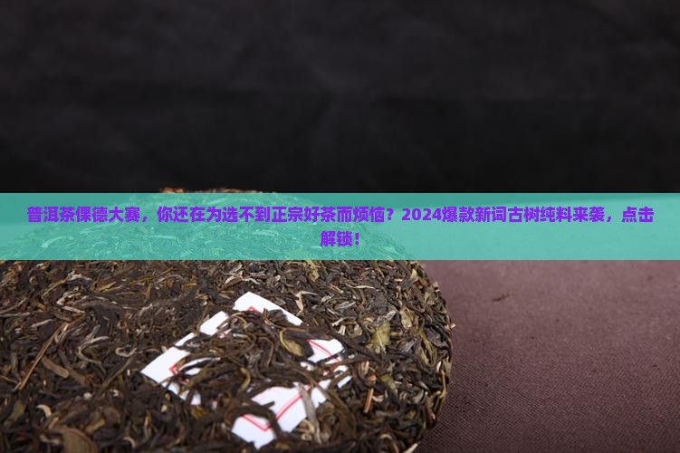 普洱茶倮德大赛