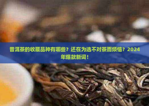 普洱茶的购买藏品种有