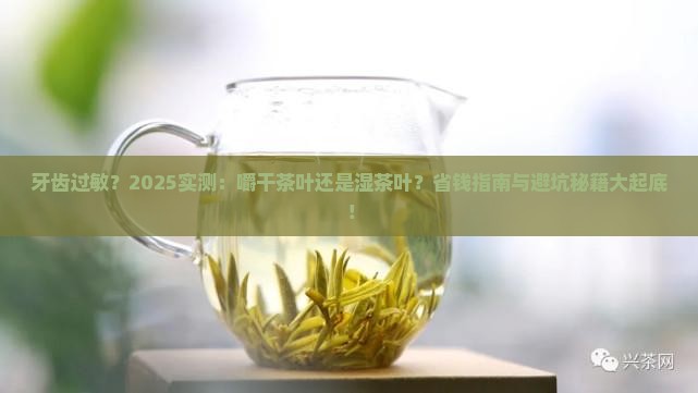 牙齿过敏嚼干茶叶还是湿茶叶