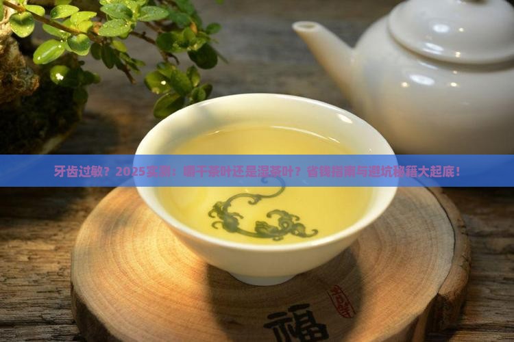 牙齿过敏嚼干茶叶还是湿茶叶