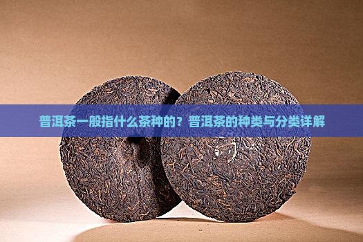 普洱茶一般指什么茶种的