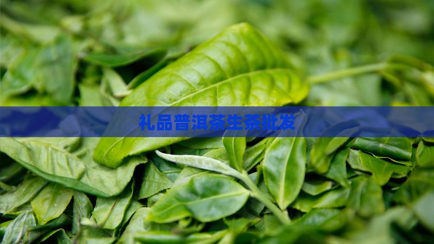 礼品普洱茶生茶批发
