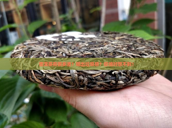 普洱茶有很多渣