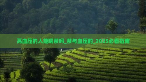 高血压的人能喝茶吗