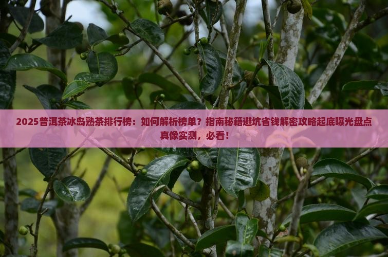 普洱茶冰岛熟茶排行榜