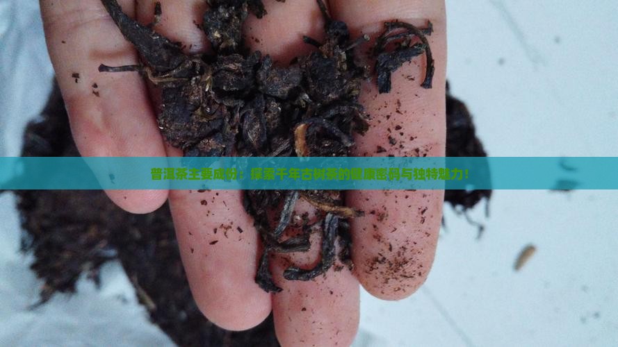 普洱茶主要成份
