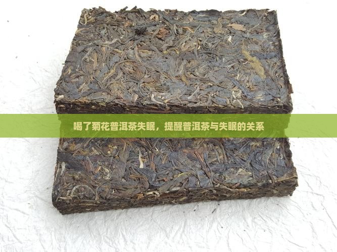 菊花普洱茶失眠