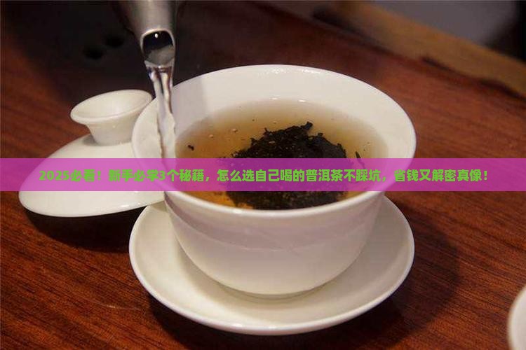 怎么选自己喝的普洱茶好