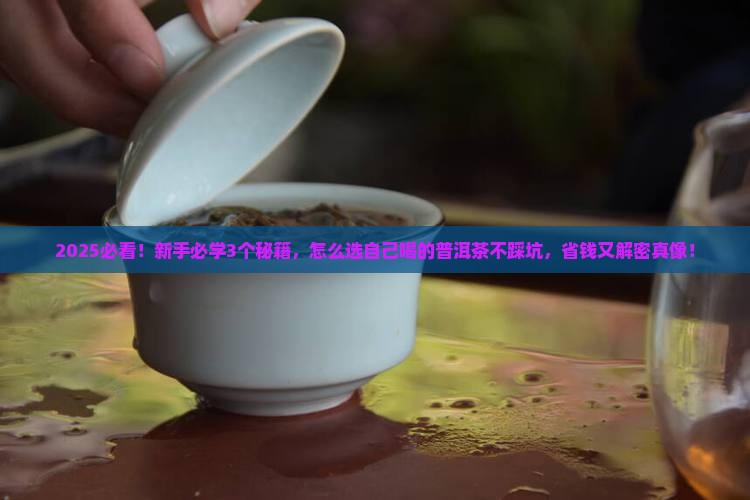 怎么选自己喝的普洱茶好