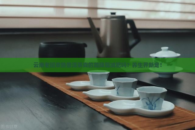 云南老班章熟普洱茶