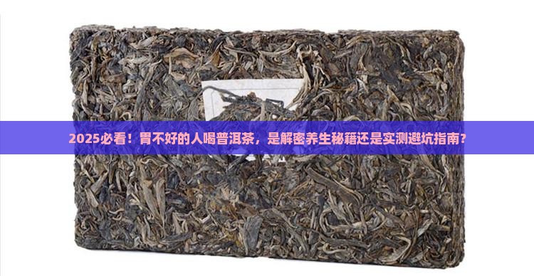 胃不太好的人能喝普洱茶