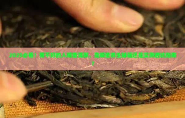 胃不太好的人能喝普洱茶
