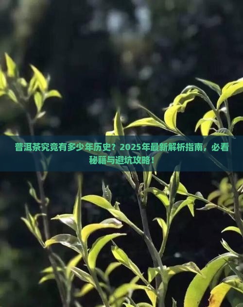 普洱茶的出现有好多年了