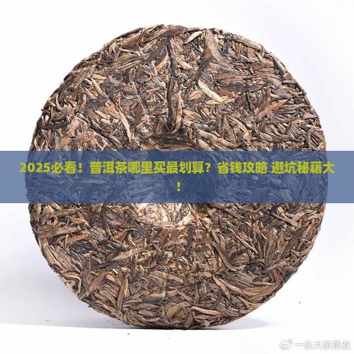 普洱茶哪有的卖的