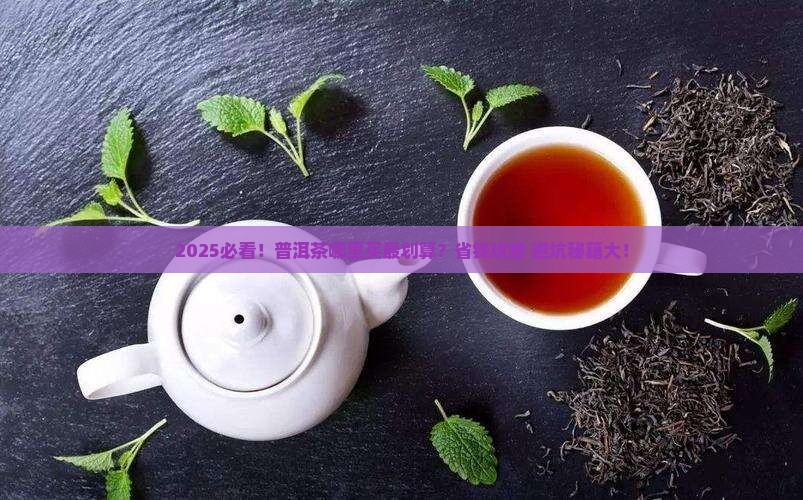普洱茶哪有的卖的