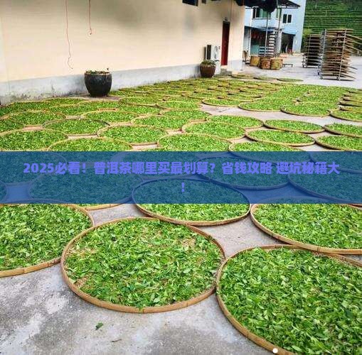 普洱茶哪有的卖的