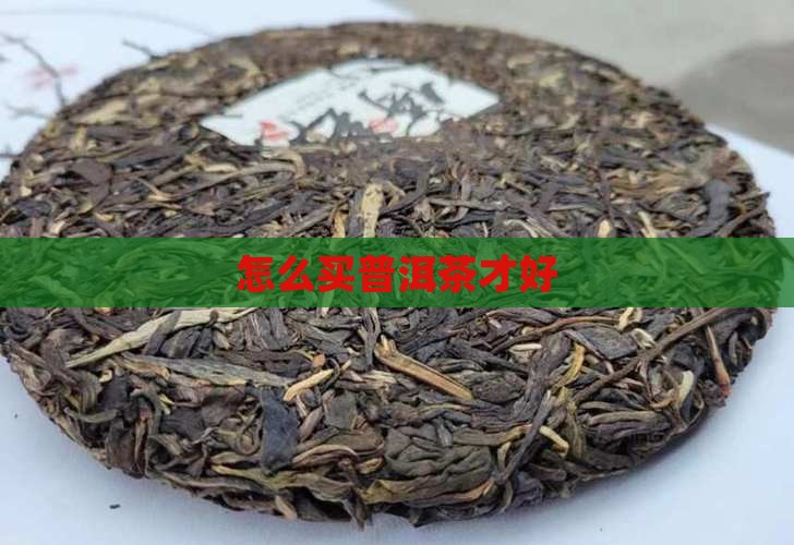要怎么买普洱茶才好呢