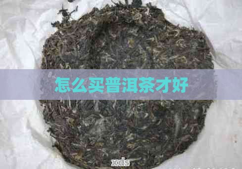 要怎么买普洱茶才好呢