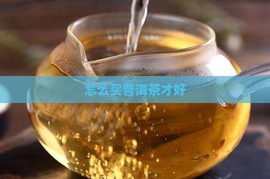 要怎么买普洱茶才好呢