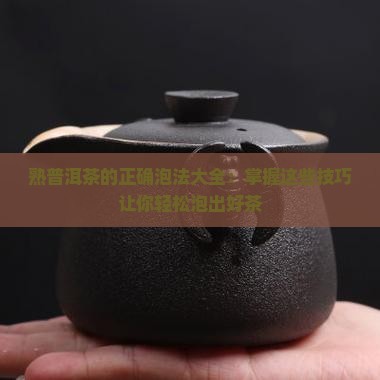 熟普洱茶的正确泡法大全