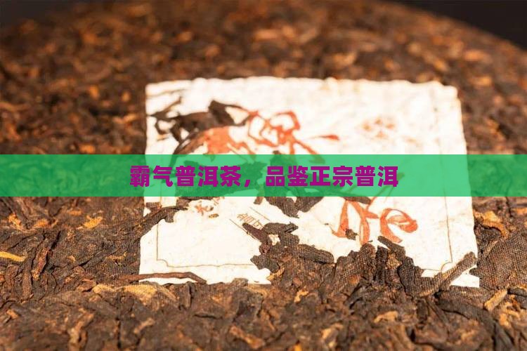 普洱茶口感霸气
