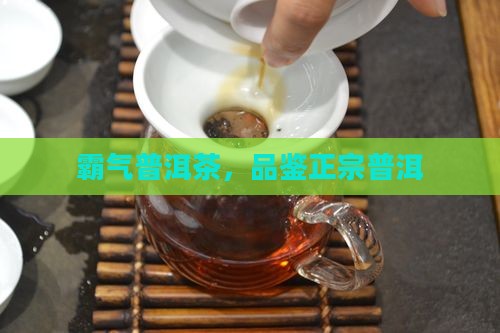 普洱茶口感霸气