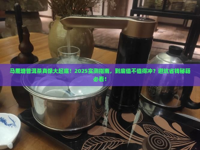 马鹿塘普洱茶好不好