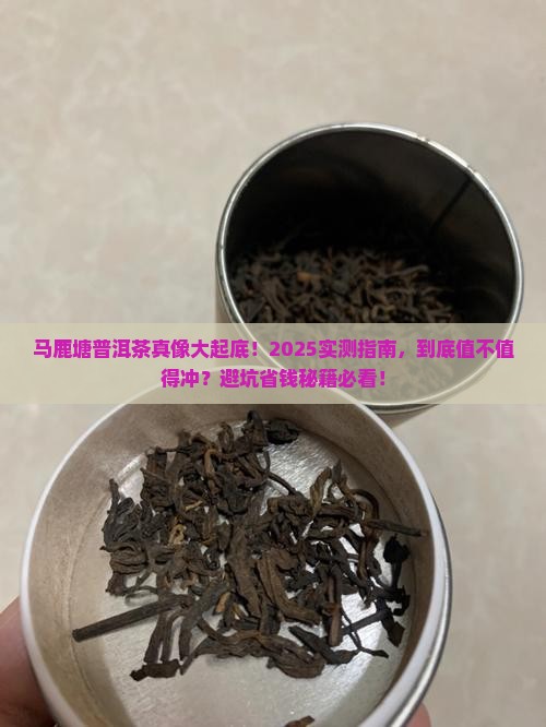 马鹿塘普洱茶好不好