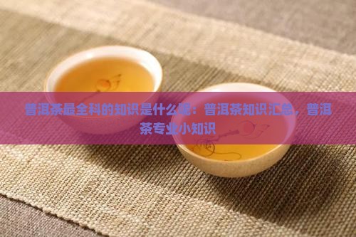 普洱茶最全科的知识是什么呢