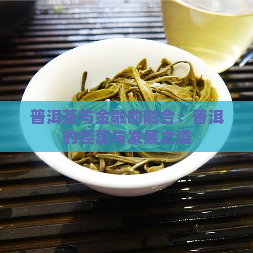 普洱茶的经营和金融发展