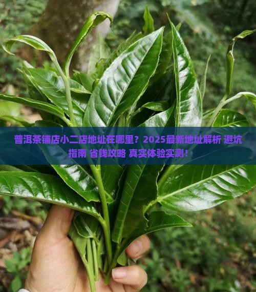 普洱茶铺店小二店地址在哪里