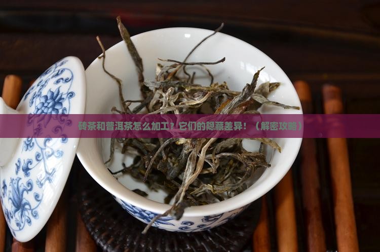 砖茶和普洱茶的加工区别