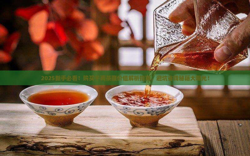 千两茶的购买藏价值
