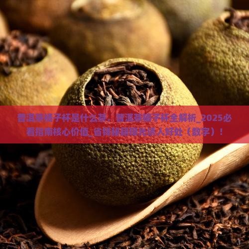 普洱茶橘子杯是什么茶