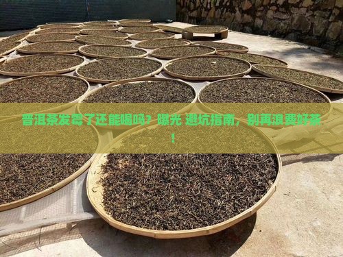 普洱茶发霉了还能泡吗