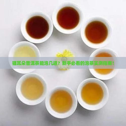 猫耳朵普洱茶可以泡几道